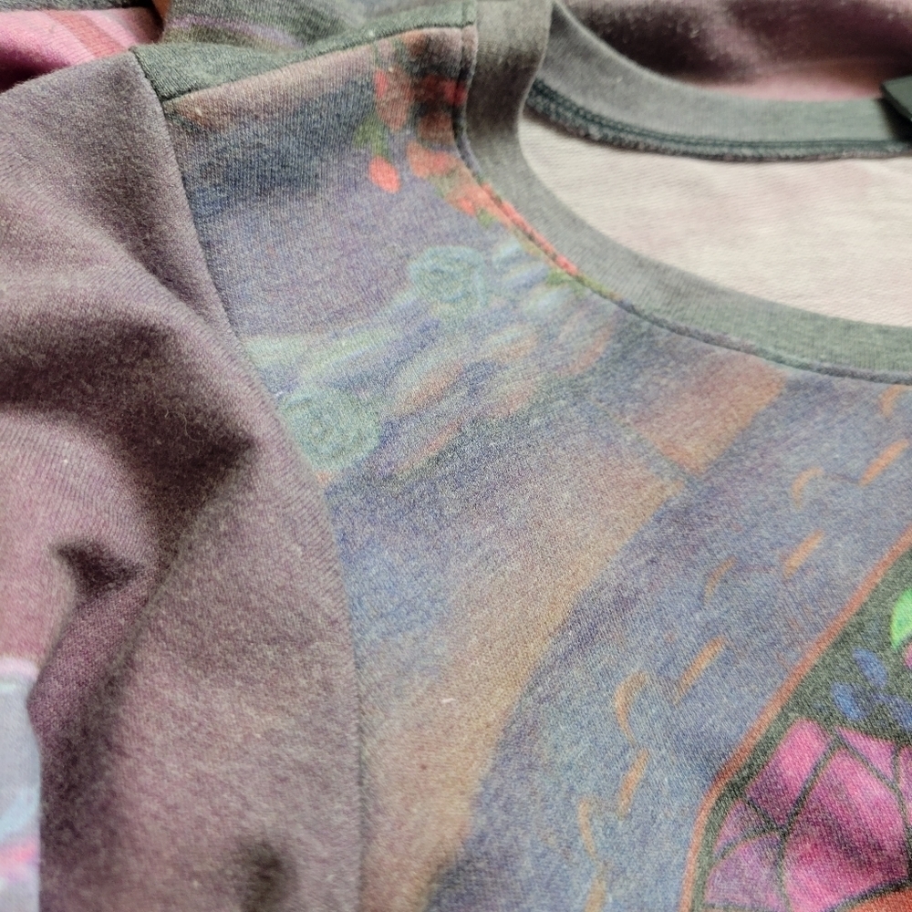 Beauty And The Beast Sweatshirt - image 7